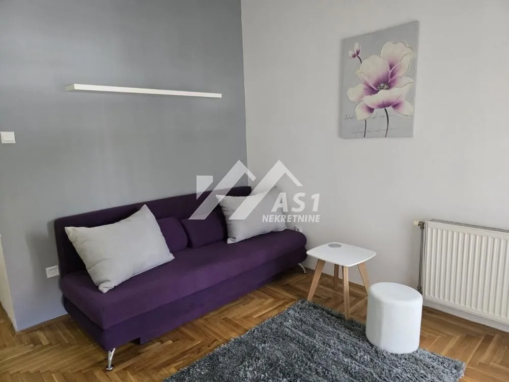 Izdavanje, stan, 24m², Sajam, Novi Sad Sve Podlokacije