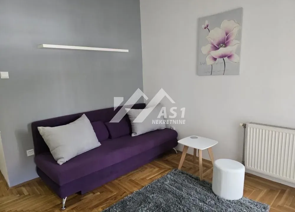 Izdavanje, stan, 24m², Sajam, Novi Sad Sve Podlokacije