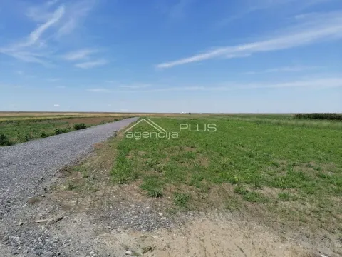 Prodaja, plac, Jakovo, Surčin