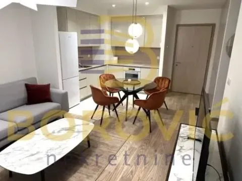 Izdavanje, dvosoban stan, 56m², Savski Venac, Beograd - image 4