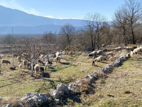 Prodaja, kuća, 70m², Danilovgrad, Crna Gora - image 5