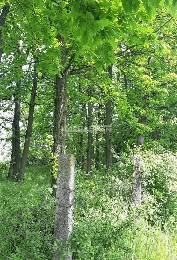 Prodaja, plac, 8800m², Arnajevo, Barajevo