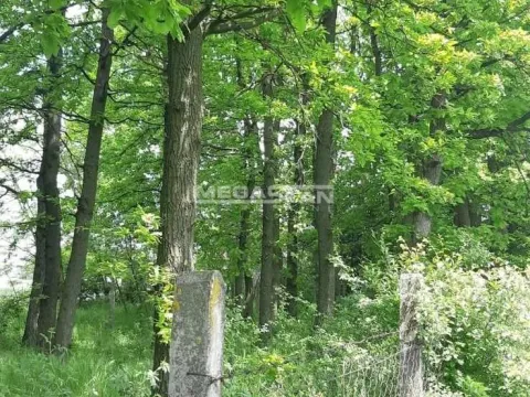 Prodaja, plac, 8800m², Arnajevo, Barajevo - image 2