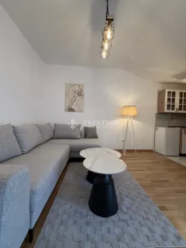Rent, studio apartment, 28m², Zagorič, Podgorica - image 2