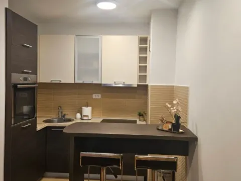 Izdavanje, jednosoban stan, 43m², Tološka šuma, Podgorica - image 3