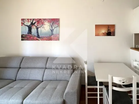 Izdavanje, jednosoban stan, 50m², City Kvart, Podgorica - image 3