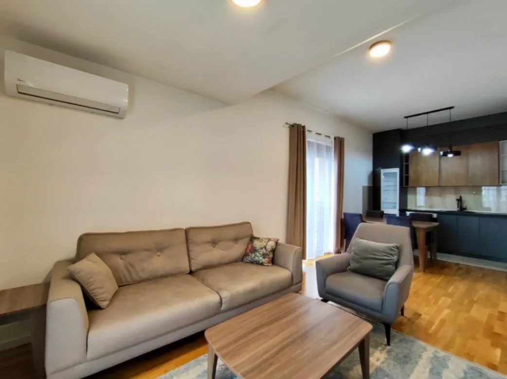 Rent, one bedroom apartment, 45m², Zabjelo, Podgorica