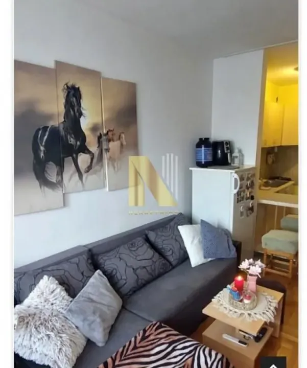 Rent, one bedroom apartment, 37m², Bulevar Oslobodjenja, Novi Sad Sve Podlokacije