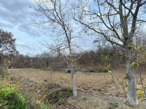 Sale, land lot, 24207m², Beočin, Srbija - image 19