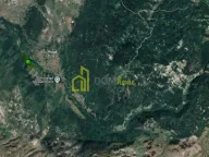 Sale, land lot, 95800m², Praga, Nikšić - image 2