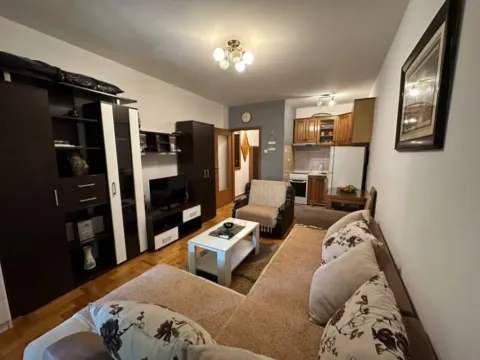 Izdavanje, jednosoban stan, 38m², Tuški Put, Podgorica