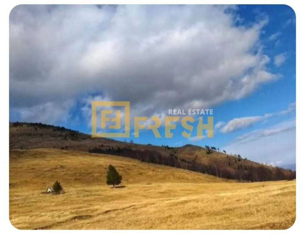Prodaja, plac, 6000m², Berane, Crna Gora