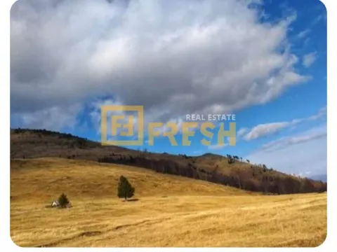 Prodaja, plac, 6000m², Berane, Crna Gora - image 3