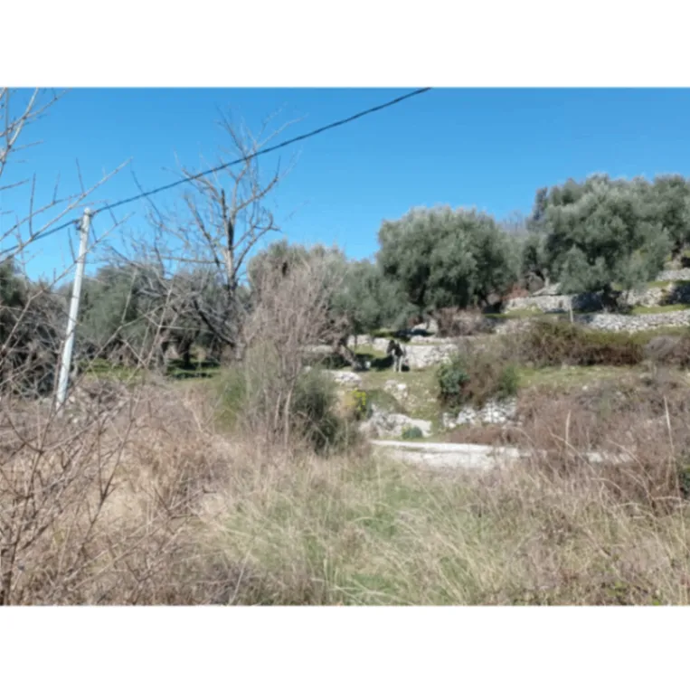 Prodaja, plac, 813m², Dobre Vode, Bar