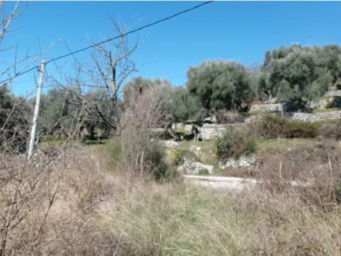 Prodaja, plac, 813m², Dobre Vode, Bar - image 8