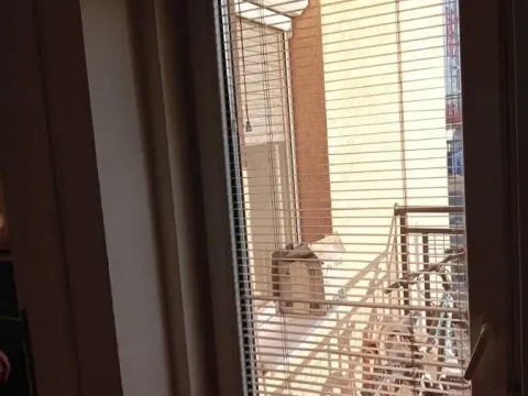 Prodaja, dvosoban stan, 64m², Telep, Novi Sad Sve Podlokacije - image 13