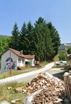 Exterior of the property with a yard and forest in the background. - image 3