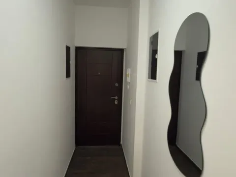 Rent, one bedroom apartment, 47m², Zabjelo, Podgorica - image 6