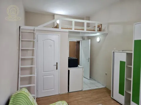 Rent, one bedroom apartment, 20m², Salajka, Novi Sad Sve Podlokacije - image 6