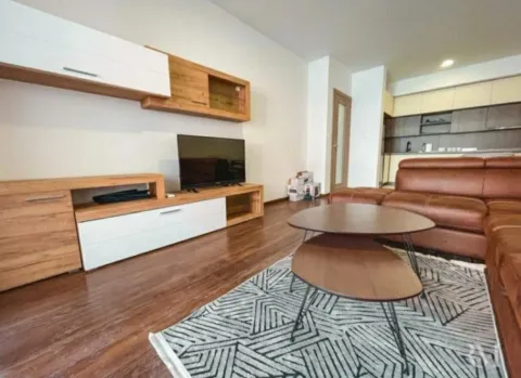Izdavanje, jednosoban stan, 52m², Master Kvart, Podgorica - image 9
