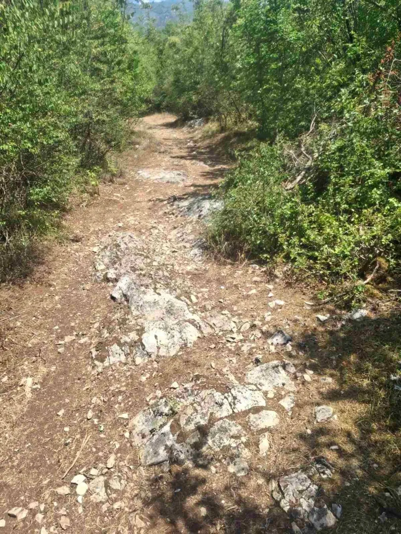 Sale, land lot, 80000m², Slap, Danilovgrad