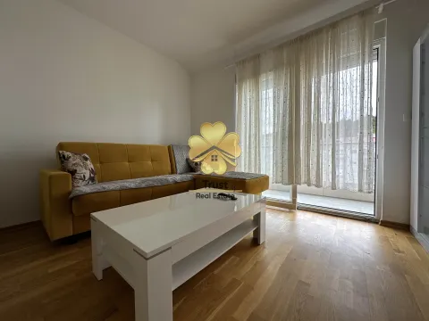 Izdavanje, jednosoban stan, 30m², Zabjelo, Podgorica - image 8