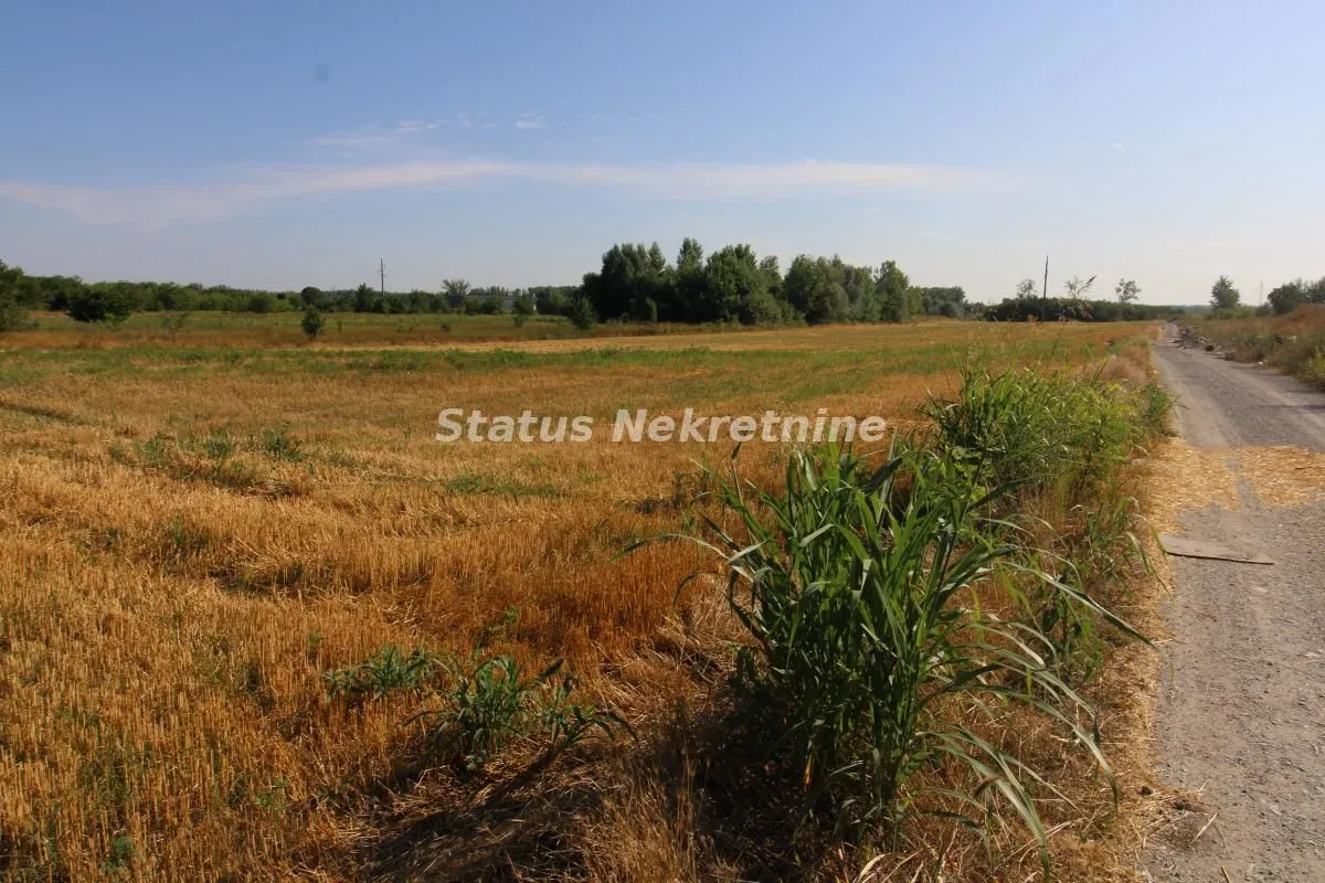 Sale, land lot, 6396m², Šangaj, Novi Sad Sve Podlokacije