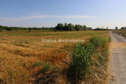 Sale, land lot, 6396m², Šangaj, Novi Sad Sve Podlokacije - image 5