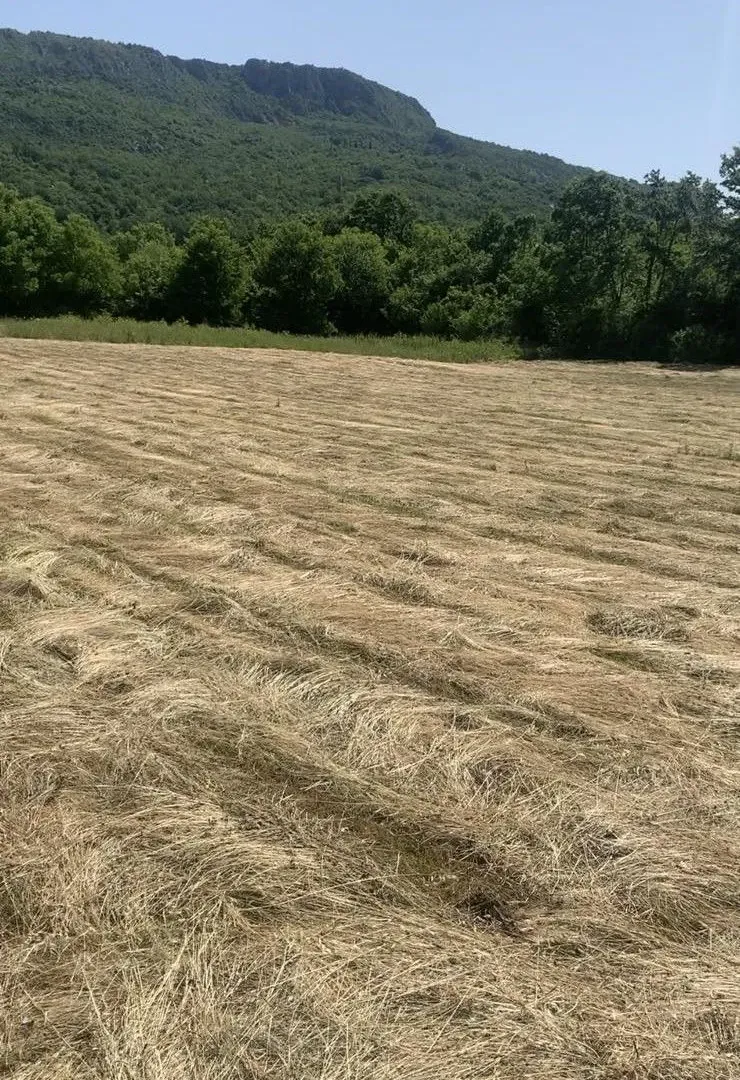 Prodaja, plac, 4650m², Podgorica, Crna Gora