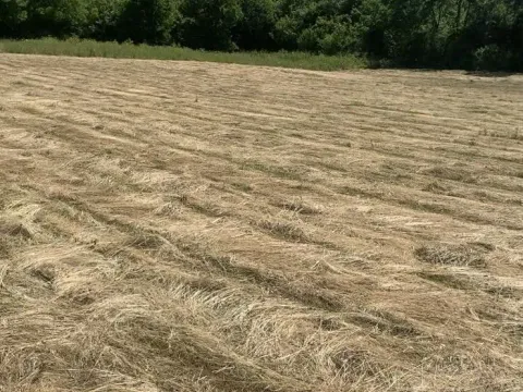 Prodaja, plac, 4650m², Podgorica, Crna Gora - image 3