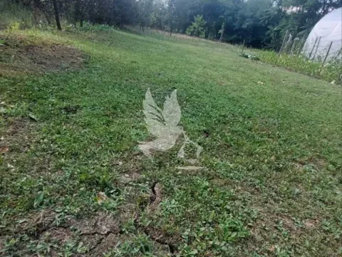 Sale, house, 100m², Velika Krsna, Mladenovac - image 13