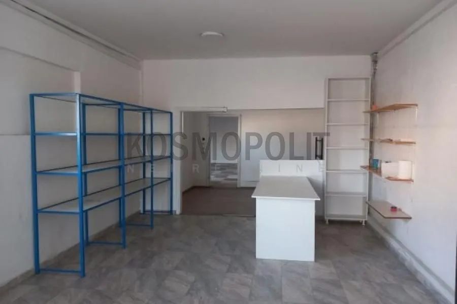 Izdavanje, poslovni prostor, 400m², Leštane, Grocka