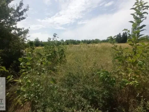 Sale, land lot, 1000m², Draževac, Obrenovac - image 10