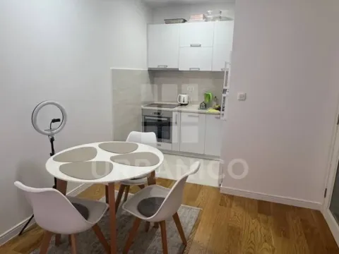 Izdavanje, jednosoban stan, 47m², Central Point, Podgorica - image 3