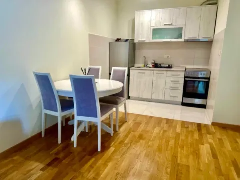 Izdavanje, jednosoban stan, 46m², Zagorič, Podgorica - image 2