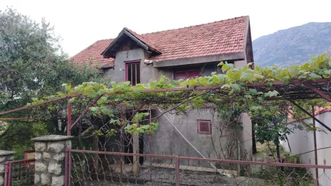 Pogled na staru kuću sa dvorištem i lozom. - image 3