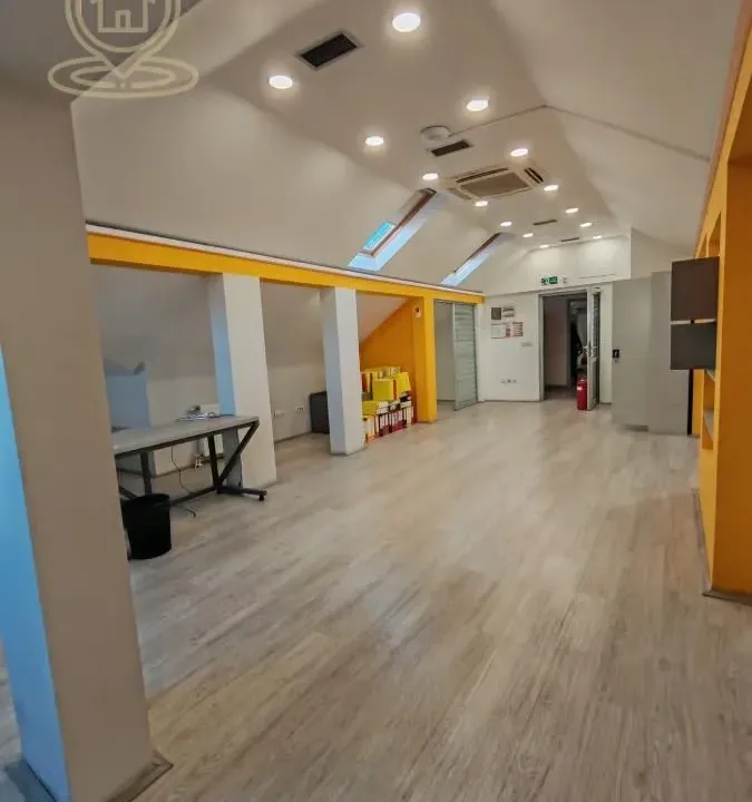 Izdavanje, poslovni prostor, 300m², Centar, Kragujevac