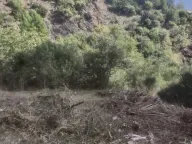 Prodaja, plac, 500m², Budva, Crna Gora - image 3