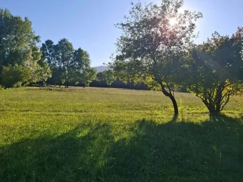 Prodaja, plac, 2881m², Begovina, Danilovgrad - image 5