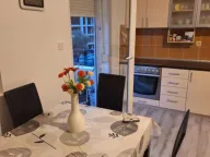 Izdavanje, jednosoban stan, 55m², Rozino, Budva - image 1