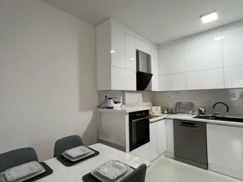 Izdavanje, jednosoban stan, 52m², Veternik, Novi Sad Sve Podlokacije - image 6