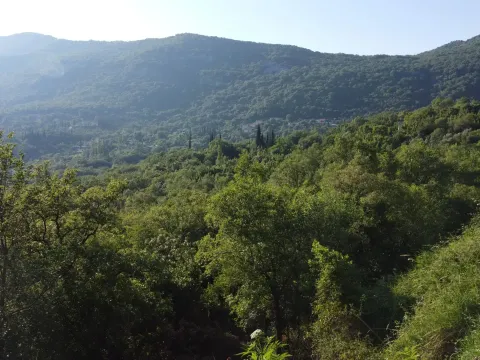 Prodaja, plac, 25000m², Lukovo, Nikšić - image 5