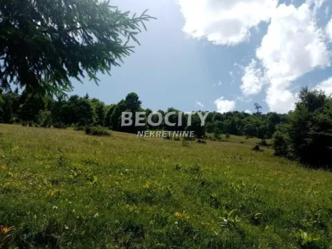 Sale, land lot, 100m², Golija, Ivanjica - image 6