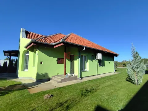 Exterior view of a single-story house with a green facade and a landscaped yard. - image 15