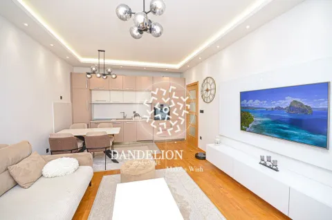 Rent, one bedroom apartment, 59m², Central Point, Podgorica - image 957