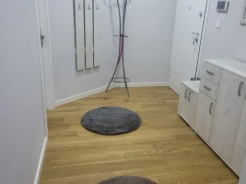 Izdavanje, dvosoban stan, 70m², Centar, Podgorica - image 7