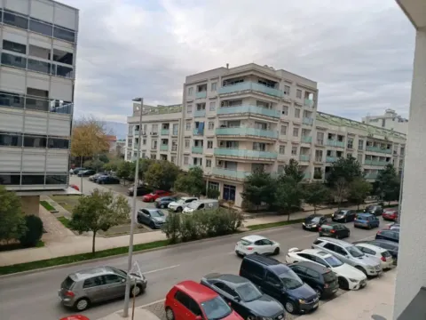 Stan in Tološka šuma