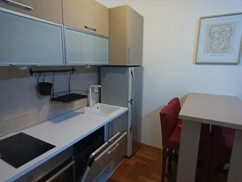 Izdavanje, jednosoban stan, 40m², Zabjelo, Podgorica - image 4