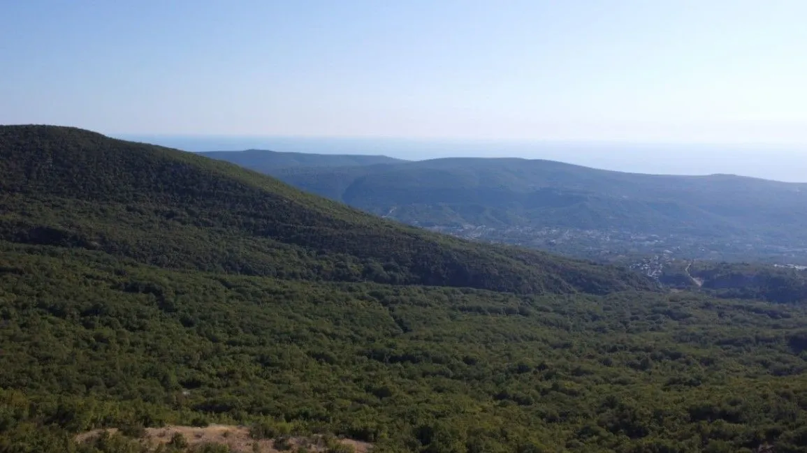 Prodaja, plac, 26417m², Čavori, Kotor