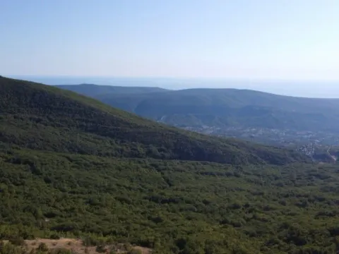 Prodaja, plac, 26417m², Čavori, Kotor - image 5